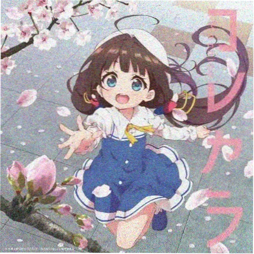 天空视频用户